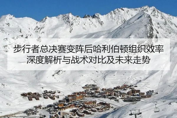 bu-xing-zhe-zong-jue-sai-bian-zhen-hou-ha-li-bo-dun-zu-zhi-xiao-lv-shen-du-jie-xi-yu-zhan-shu-dui-bi-ji-wei-lai-zou-shi-2-631.jpg